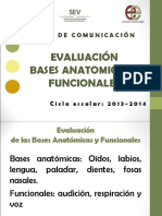 Valoración de Bases Anatomicas y Funcionales