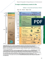 Geological Time With Major Evolutionary Events in The Fossil Record