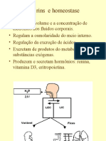 Aula Regulacao Da Osmolaridade