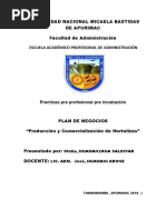 Practicas Pre Profesinales Hort PDF