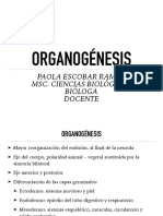 Organogenesis PDF