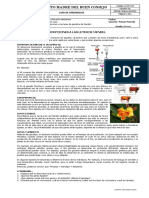 Guia 2 Dominancia Incompleta 9°