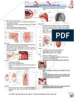 Ent Diseases of The Oral and Pharynx Dr. Uy