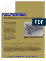 Fossil Preservation