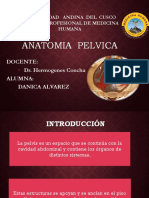 Anatomia de Pelvis