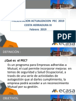 Actualizacion Pec 2019