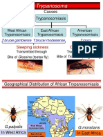 Trypanosoma