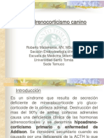 Hiperadrenocorticismo Canino