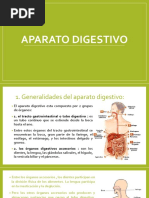 Anatomia - Aparato Digestivo