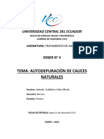 Autodepuración de Cauces Naturales