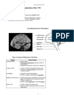 Pharmacological Organization of The CNS