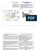 Cuadro Comparativo de Transmisiones