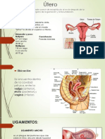 Temas: Tecnología Médica