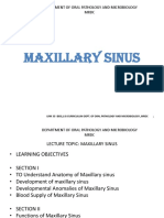 Maxillary Sinus