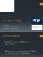 Neuropathology 