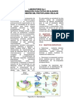 Lab Oratorio No 5 Componentes Del Protoplasm A