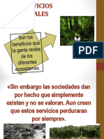 2.4.1 Servicios Ambientales