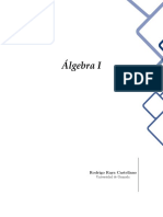 Rodrigo Raya - Algebra1 PDF