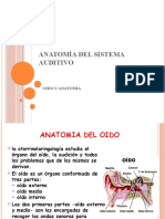 Anatomía Del Sistema Auditivo