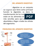 Fisiologia Del Aparato Digestivo Vic