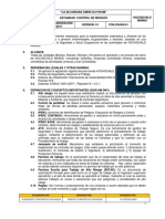 COE-DGG09-01 - Estandar de Control de Riesgosestandar