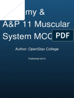 Anatomy Physiology The Muscular System MCQ Quiz