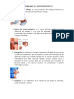 Enfermedades Del Sistema Digestivo