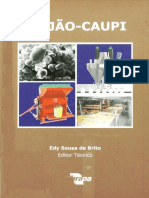 Feijão-Caupi - Brito 2008 PDF