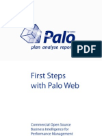 First Steps With Palo Web: Commercial Open Source Business Intelligence For Performance Management