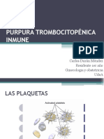 Pti y Gestacion