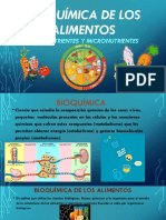 Bioquímica de Los Alimentos 