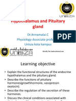 Hypothalamus and Pituitary Gland