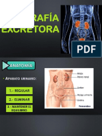 Urografía Excretora