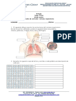 Biología 5° Taller 4