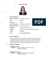 CV Mayra Flores Vargas 2