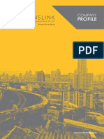 TRANSLINK - Company Profile PDF