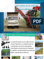 Tecnologia Del Cultivo de Caña de Azucar