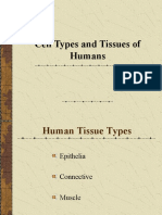 Cell Types and Tissues of Humans