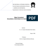 Mapa Conceptual Sexualidad y Afectividad en El Adulto Mayor