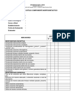 Pauta de Cotejo Morfosintaxis 1