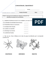 Prueba de Ciencias Naturales - Giovanna Asenjo - Segundo Básico B - Animales Invertebrados