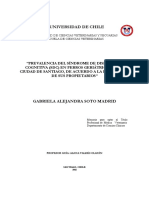 Prevalencia Del Síndrome de Disfunción Cognitiva (SDC) en Perros Geriátricos de La Ciudad de Santiago, de Acuerdo A La Percepción de Sus Propietarios