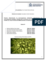 Reporte Analisis Microbiologico