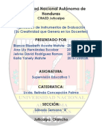 Informe Aplicacion de Instrumentos de Evaluacion