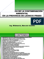 Problemática Ambiental Provincia Leoncio Prado-Perú