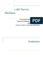 Lesiones Del Nervio Mediano