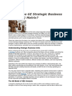 What Is The GE Strategic Business Unit