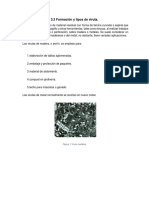 3.3 Formacion y Tipos de Viruta