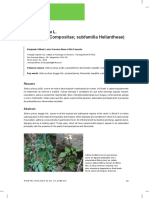 Picão Preto (Bidens Pilosa) PDF