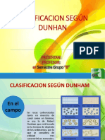 Clasificacion Dunham